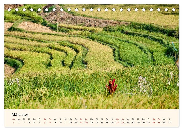 Produktbild: Sulawesi Im Reich der Torajas (Tischkalender 2026 DIN A5 quer), CALVENDO Monatskalender
