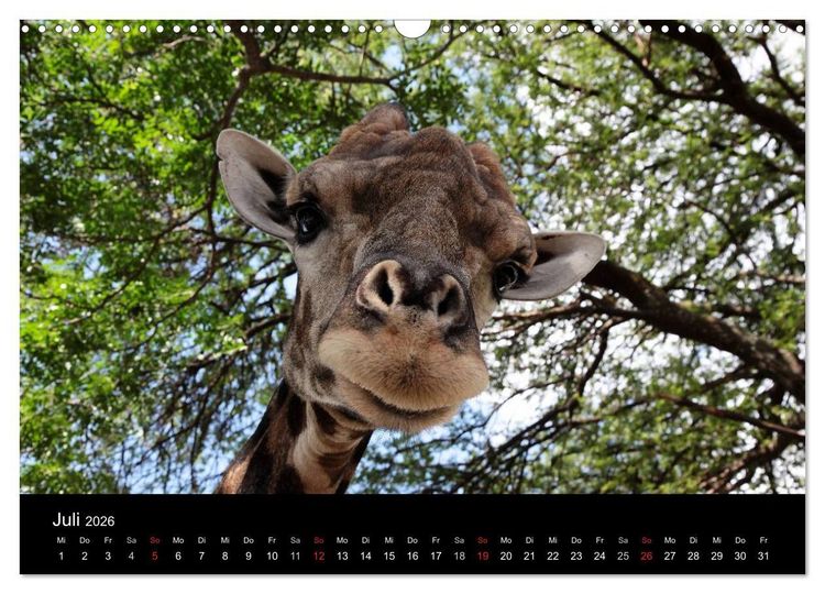 Produktbild: Unsere Erde Highlights weltweit 2026 (Wandkalender 2026 DIN A3 quer), CALVENDO Monatskalender