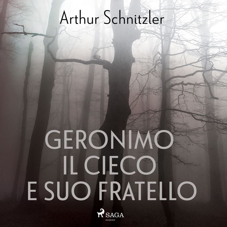 Produktbild: Geronimo il cieco e suo fratello