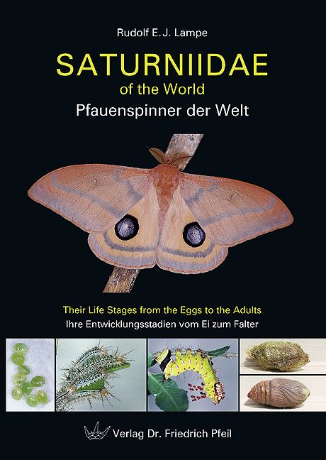 Produktbild: Saturniidae of the World &ndash; Pfauenspinner der Welt