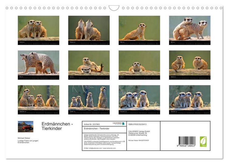 Produktbild: Erdm&auml;nnchen - Tierkinder (Wandkalender 2026 DIN A3 quer), CALVENDO Monatskalender
