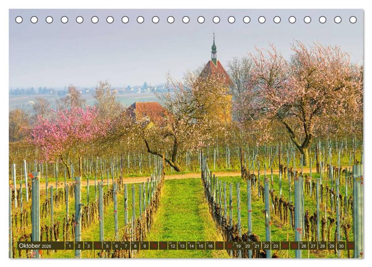 Produktbild: Mandelbl&uuml;tenzauber an der Deutschen Weinstra&szlig;e (Tischkalender 2026 DIN A5 quer), CALVENDO Monatskalender
