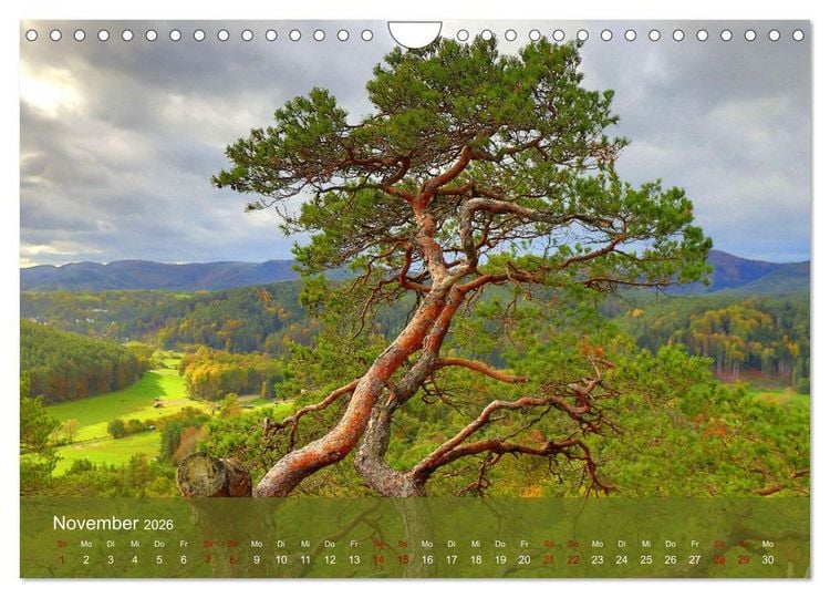 Produktbild: Wanderparadies S&uuml;dpfalz (Wandkalender 2026 DIN A4 quer), CALVENDO Monatskalender