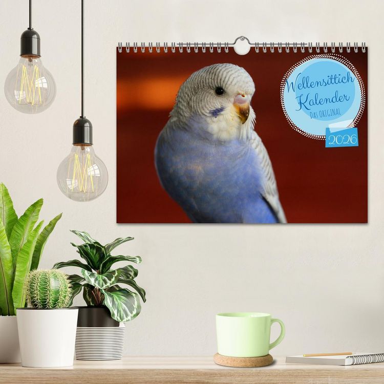 Produktbild: Wellensittichkalender! - Das Original (Wandkalender 2026 DIN A4 quer), CALVENDO Monatskalender