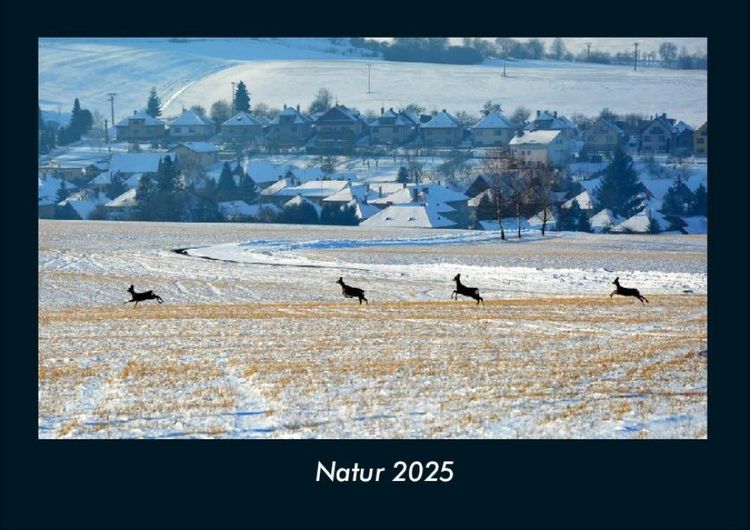Produktbild: Natur 2025 Fotokalender DIN A4