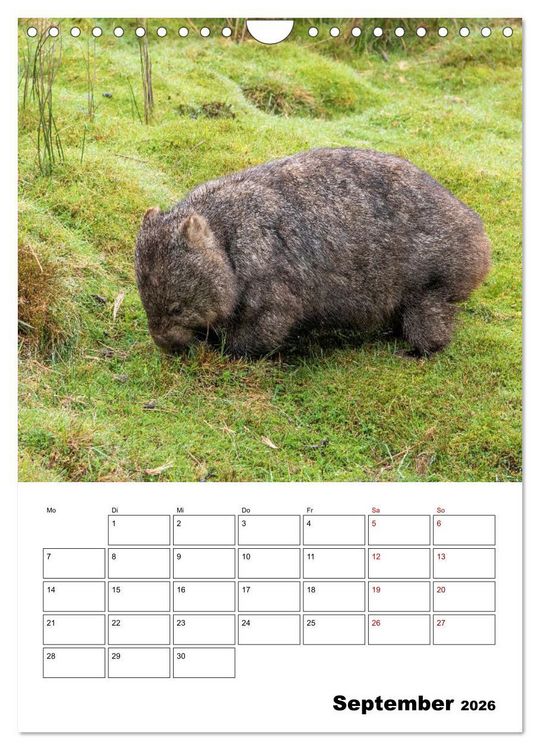 Produktbild: Australiens faszinierende Tierwelt (Wandkalender 2026 DIN A4 hoch), CALVENDO Monatskalender