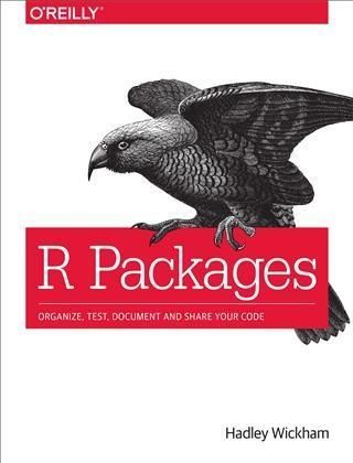 Produktbild: R Packages