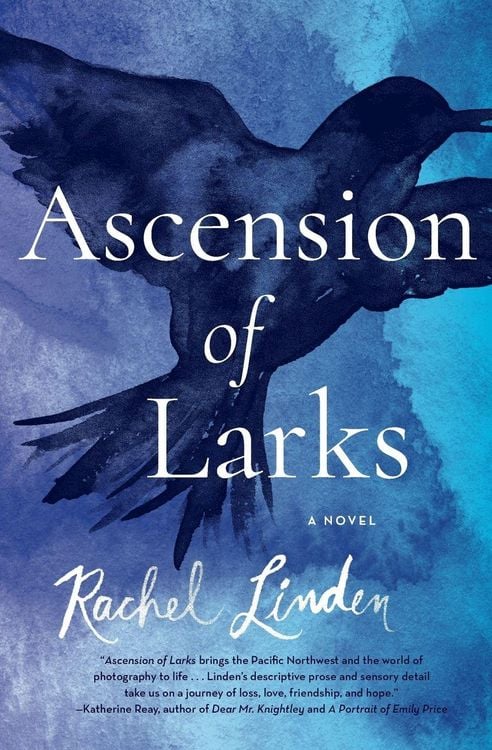 Produktbild: Ascension of Larks