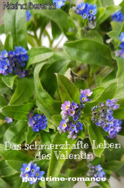 Produktbild: Das schmerzhafte Leben des Valentin