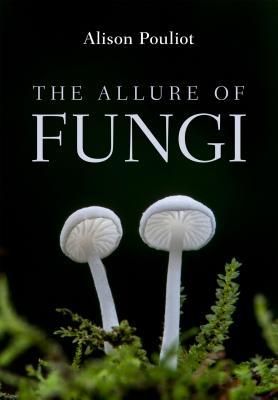 Produktbild: The Allure of Fungi