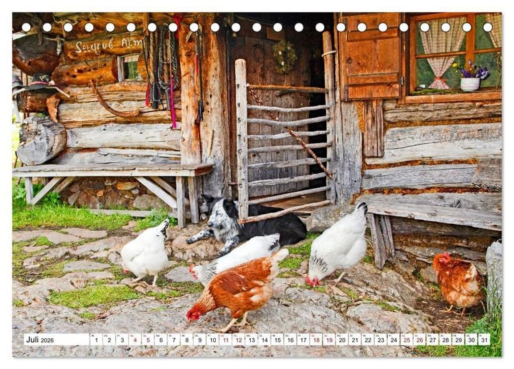 Produktbild: Almen im S&uuml;dtiroler Ultental (Tischkalender 2026 DIN A5 quer), CALVENDO Monatskalender
