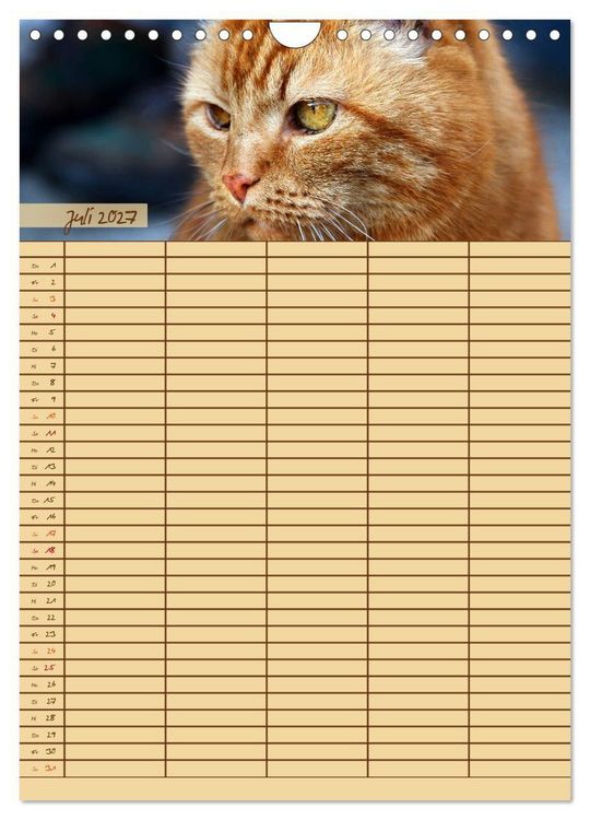 Produktbild: Tierischer Familienplaner (Wandkalender 2027 DIN A4 hoch), CALVENDO Monatskalender