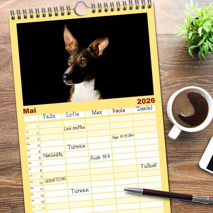 Produktbild: Familienplaner 2026 - Bunte Pfoten mit 5 Spalten (Wandkalender, 21 x 45 cm) CALVENDO