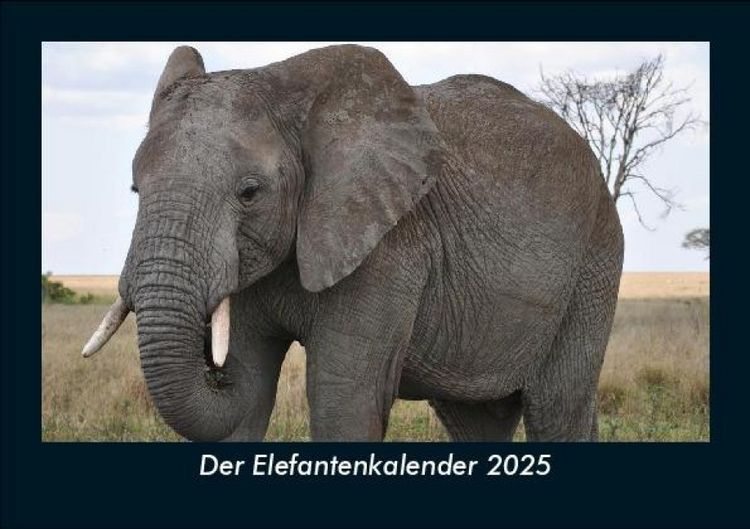 Produktbild: Der Elefantenkalender 2025 Fotokalender DIN A5