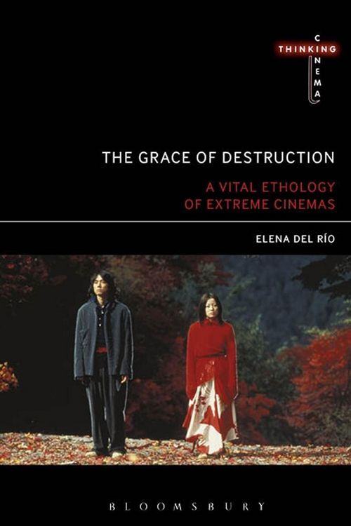 Produktbild: The Grace of Destruction