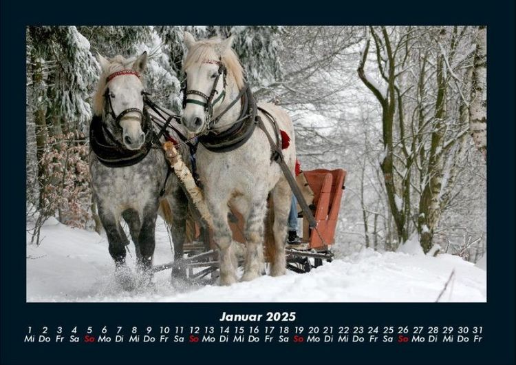 Produktbild: Pferde Kalender 2025 Fotokalender DIN A4