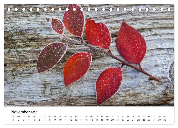 Produktbild: Mein Jahr im Landhausgarten (Tischkalender 2026 DIN A5 quer), CALVENDO Monatskalender