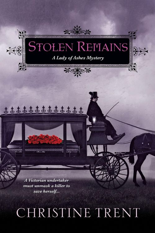 Produktbild: Stolen Remains