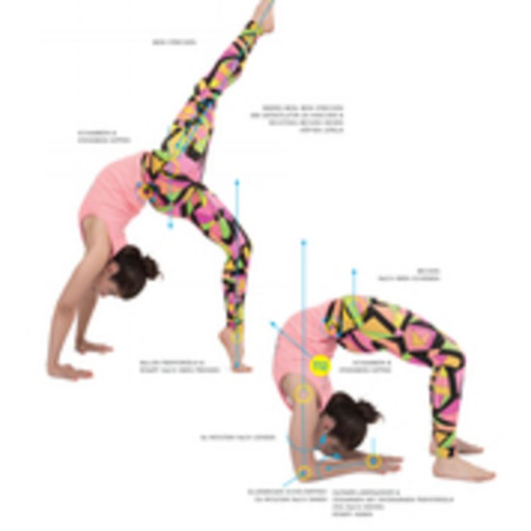 Produktbild: Ausrichtung in der Yoga Asana