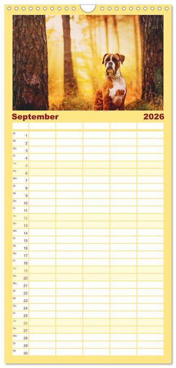 Produktbild: Familienplaner 2026 - Deutscher Boxer mit 5 Spalten (Wandkalender, 21 x 45 cm) CALVENDO