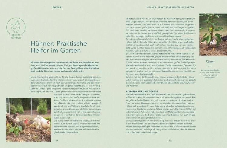 Produktbild: Mehr Power f&uuml;r dein Gem&uuml;se