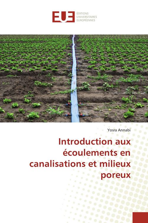 Produktbild: Introduction aux &eacute;coulements en canalisations et milieux poreux