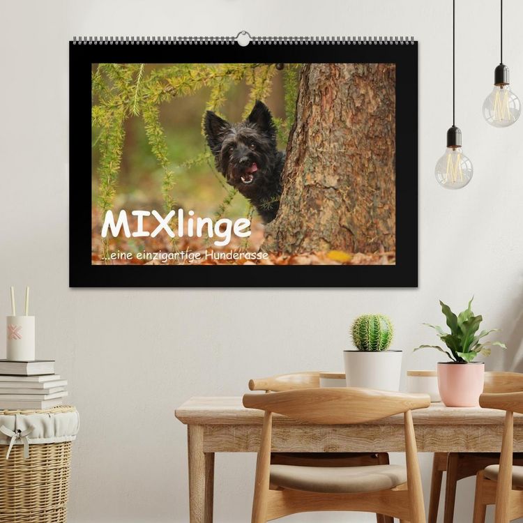 Produktbild: MIXlinge (Wandkalender 2027 DIN A2 quer), CALVENDO Monatskalender