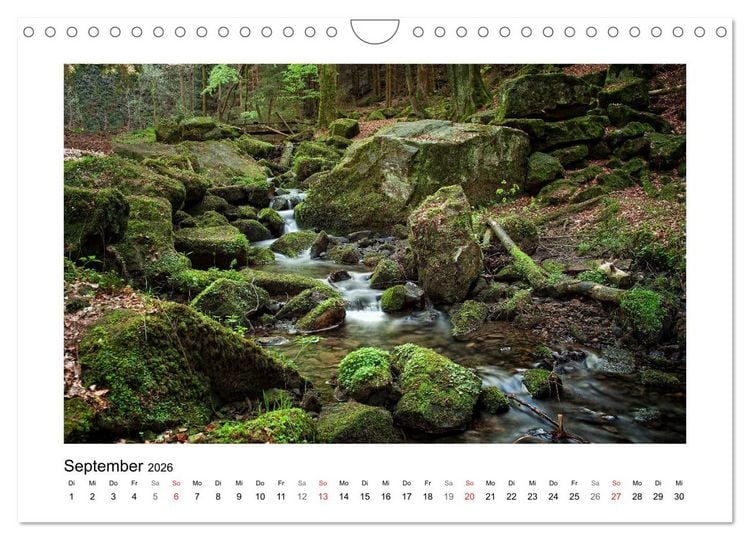 Produktbild: Impressionen aus Ostwestfalen-Lippe (Wandkalender 2026 DIN A4 quer), CALVENDO Monatskalender