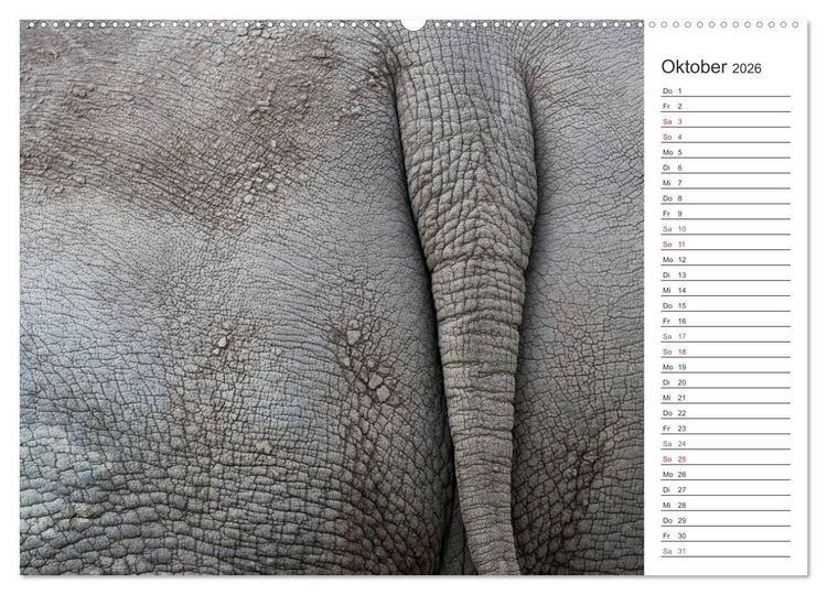 Produktbild: Emotionale Momente: Nash&ouml;rner (hochwertiger Premium Wandkalender 2026 DIN A2 quer), Kunstdruck in Hochglanz