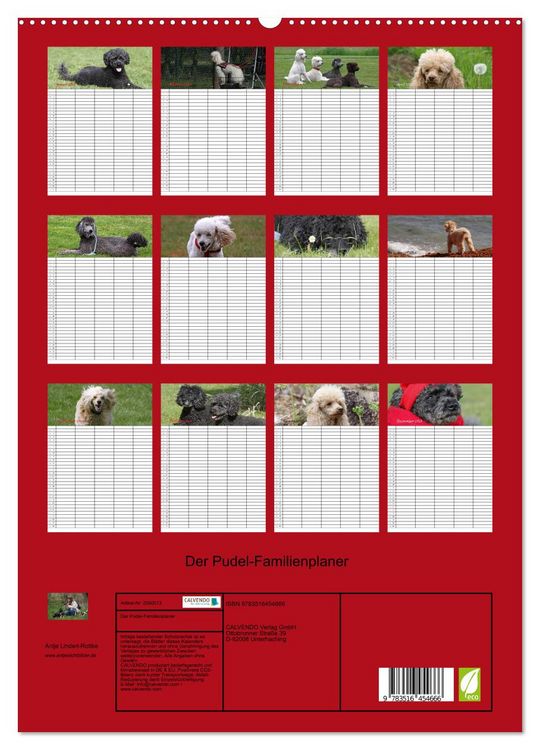 Produktbild: Der Pudel-Familienplaner (hochwertiger Premium Wandkalender 2026 DIN A2 hoch), Kunstdruck in Hochglanz