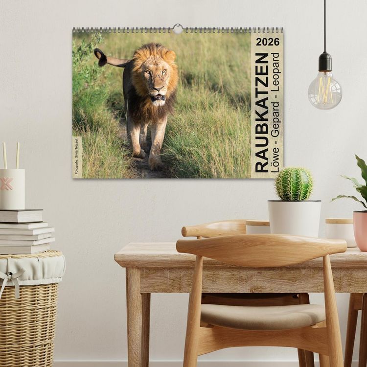 Produktbild: Raubkatzen - L&ouml;we, Gepard, Leopard (Wandkalender 2026 DIN A3 quer), CALVENDO Monatskalender