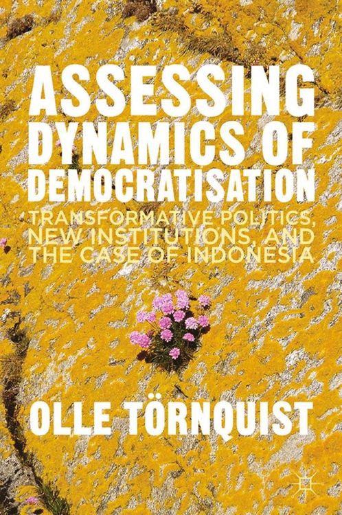 Produktbild: Assessing Dynamics of Democratisation
