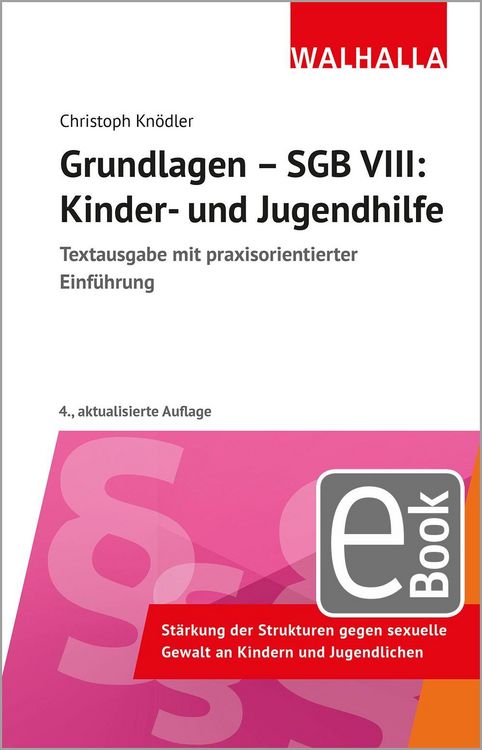 Produktbild: Grundlagen - SGB VIII: Kinder- und Jugendhilfe
