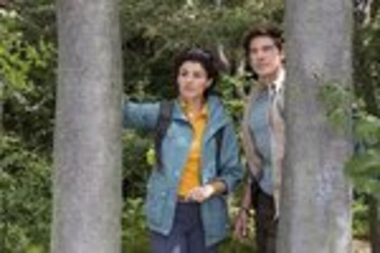 Produktbild: Der Ranger - Paradies Heimat - Teil 1&2