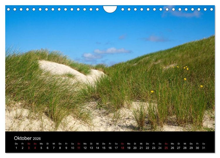 Produktbild: D&auml;nemarks Nordseek&uuml;ste (Wandkalender 2026 DIN A4 quer), CALVENDO Monatskalender