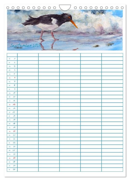 Produktbild: Amrumaquarelle (Wandkalender 2026 DIN A4 hoch), CALVENDO Monatskalender