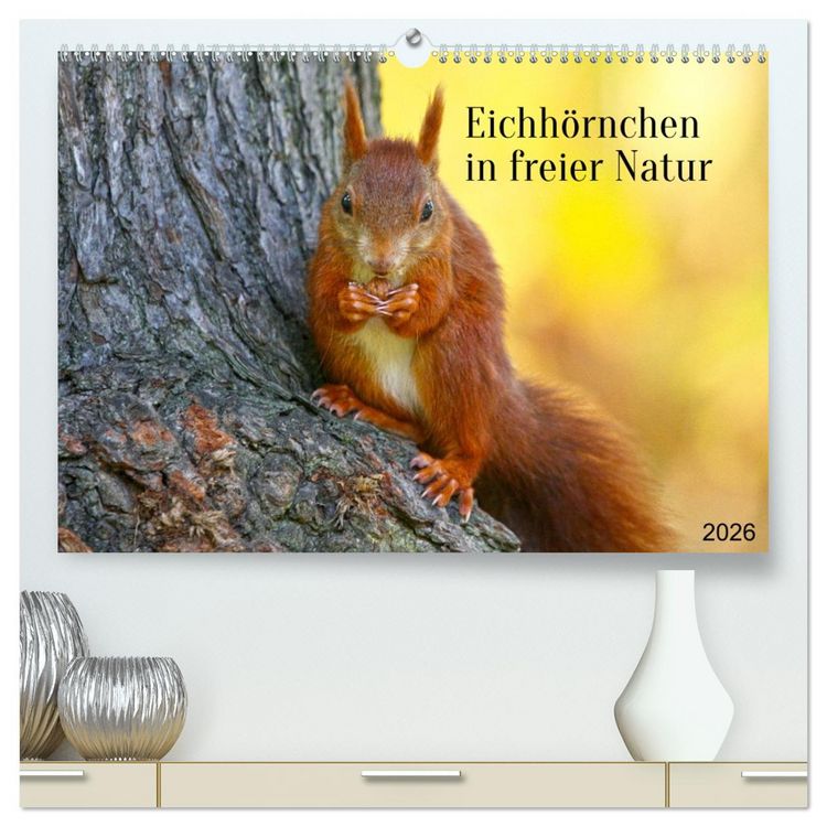 Produktbild: Eichh&ouml;rnchen in freier Natur (hochwertiger Premium Wandkalender 2026 DIN A2 quer), Kunstdruck in Hochglanz