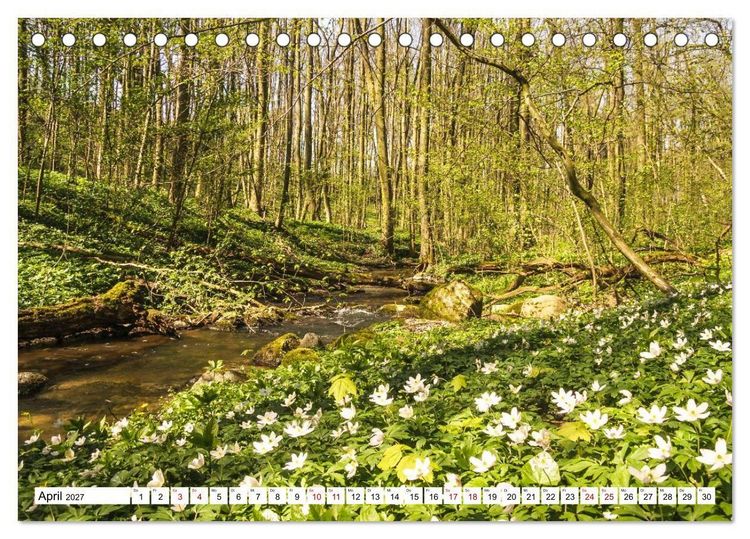 Produktbild: Magische Stimmungen in Mecklenburg-Vorpommern (Tischkalender 2027 DIN A5 quer), CALVENDO Monatskalender