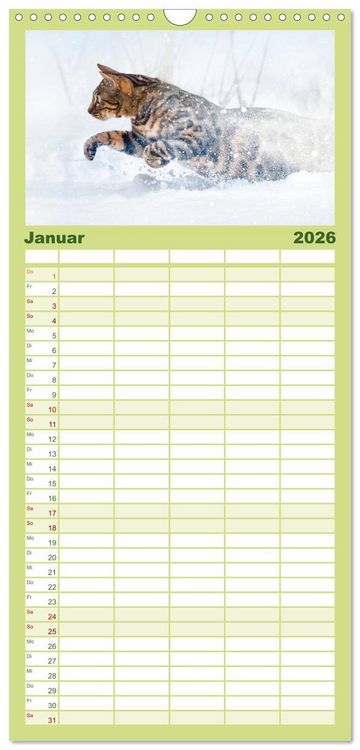 Produktbild: Familienplaner 2026 - Bengalen Outdoor und Action mit 5 Spalten (Wandkalender, 21 x 45 cm) CALVENDO