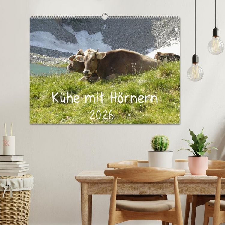 Produktbild: K&uuml;he mit H&ouml;rnern (Wandkalender 2026 DIN A2 quer), CALVENDO Monatskalender