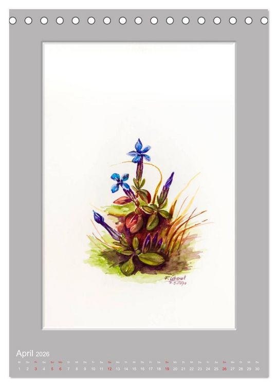 Produktbild: Alpenblumen Aquarelle aus Tirol (Tischkalender 2026 DIN A5 hoch), CALVENDO Monatskalender