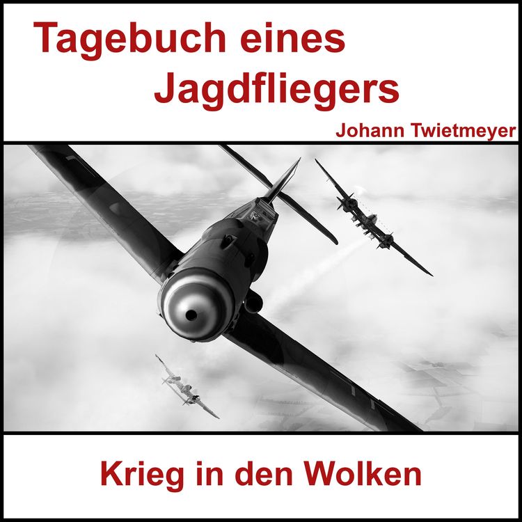 Produktbild: Tagebuch Jagdflieger Johann Twietmeyer