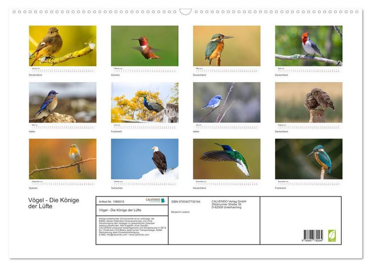 Produktbild: V&ouml;gel - Die K&ouml;nige der L&uuml;fte (Wandkalender 2026 DIN A2 quer), CALVENDO Monatskalender