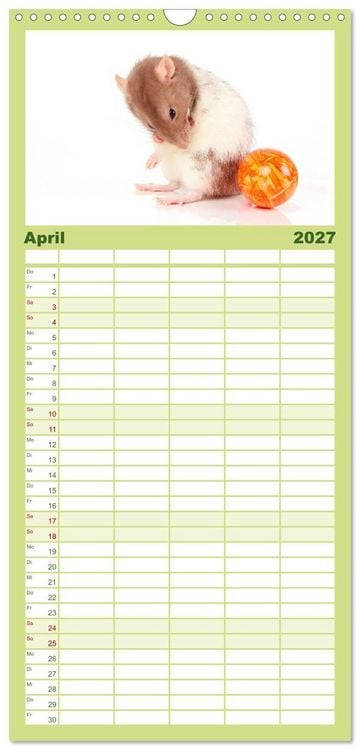 Produktbild: Familienplaner 2027 - S&uuml;&szlig;e M&auml;use und Coole Ratten mit 5 Spalten (Wandkalender, 21 x 45 cm) CALVENDO