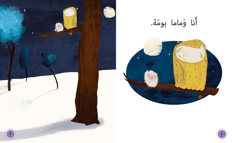 Produktbild: Collins Big Cat Arabic - Oh Owl!: Level 4