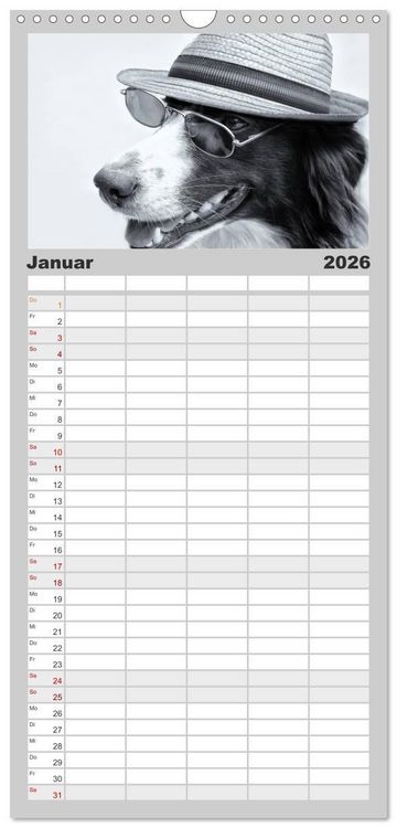 Produktbild: Familienplaner 2026 - H&uuml;tehunde mit 5 Spalten (Wandkalender, 21 x 45 cm) CALVENDO