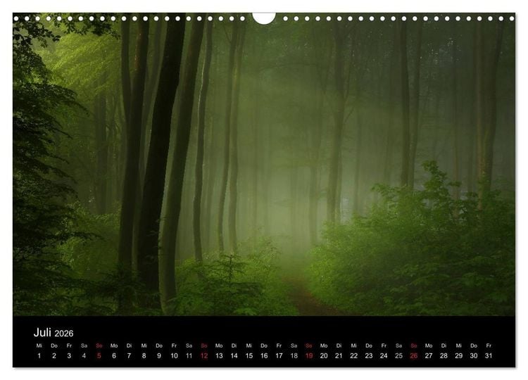 Produktbild: Mysterium Wald (Wandkalender 2026 DIN A3 quer), CALVENDO Monatskalender