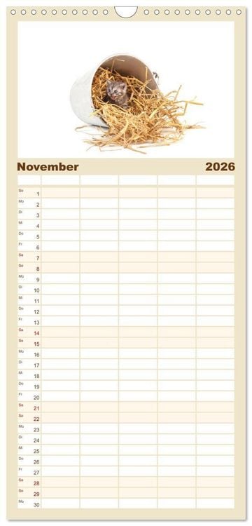 Produktbild: Familienplaner 2026 - Katzenbabys mit 5 Spalten (Wandkalender, 21 x 45 cm) CALVENDO