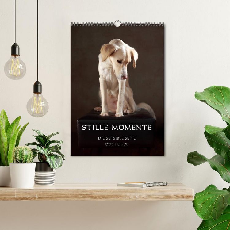 Produktbild: Stille Momente - Die sensible Seite der Hunde (Wandkalender 2026 DIN A3 hoch), CALVENDO Monatskalender