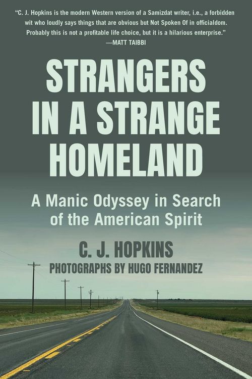 Produktbild: Strangers in a Strange Homeland